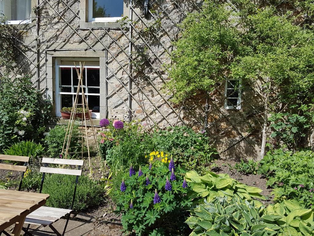 Owl Cottage room 2