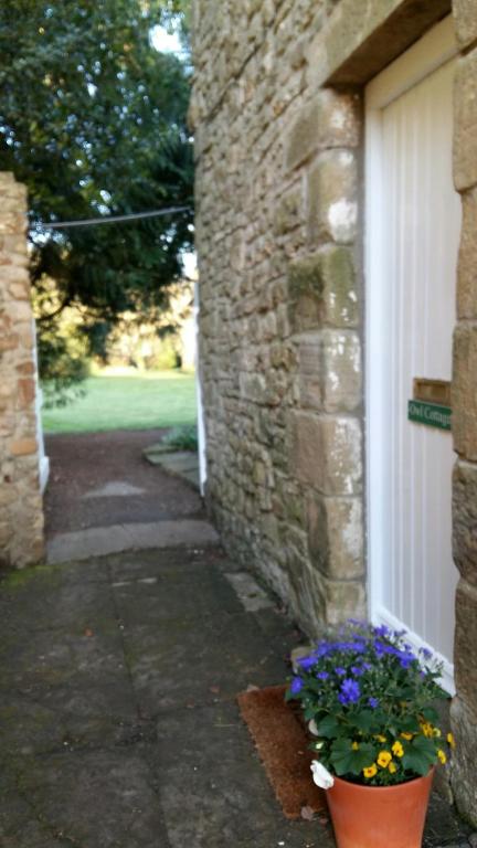 Owl Cottage room 5