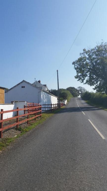 Pantysgyfarnog room 6