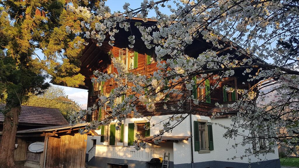 Peaks View Chalet room 3