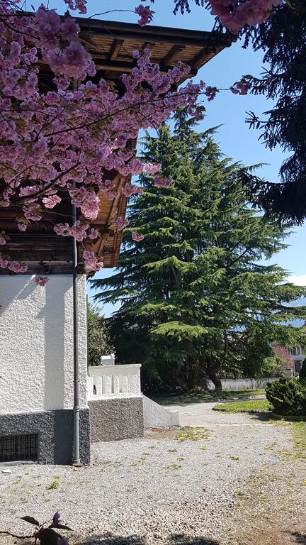 Peaks View Chalet room 4