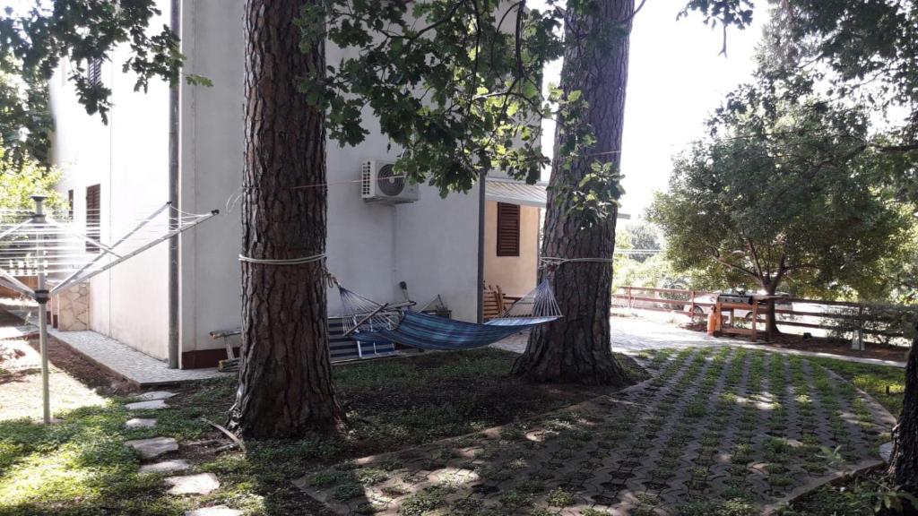 Holiday house Pinus Pinea room 4