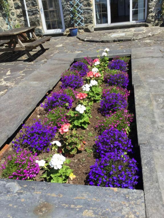 Plas Y Nant room 3