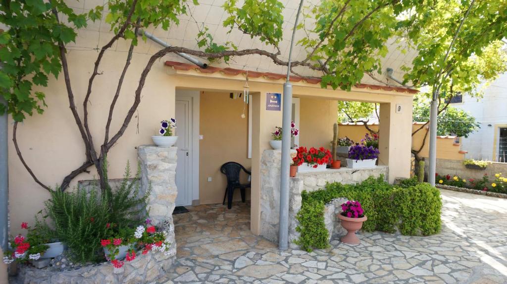 Apartments Red Rose room 1