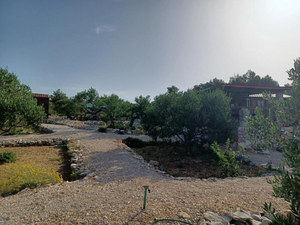 Robinzonski smještaj Tiha Draga room 1