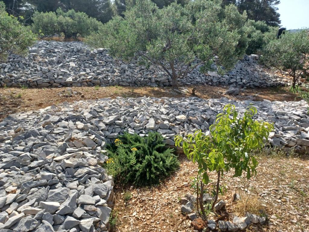 Robinzonski smještaj Tiha Draga room 6