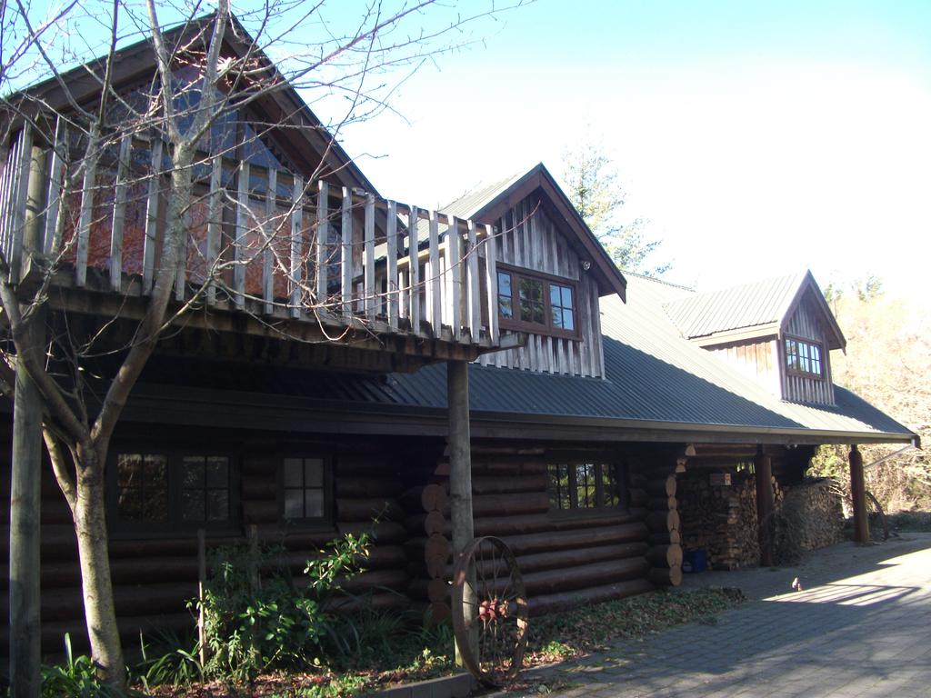 Ruapehu Log Lodge room 3