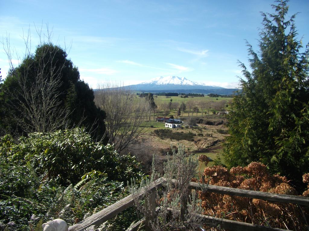 Ruapehu Log Lodge room 5