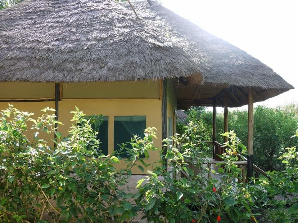 Rweteera Safari Park room 1