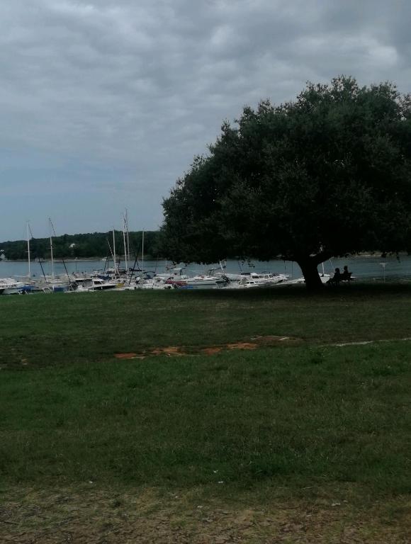 SOLAR HOME POREČ-ČERVAR PORAT room 4