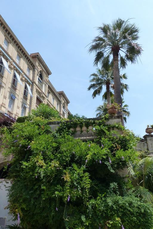 Studio In A Palace room 2