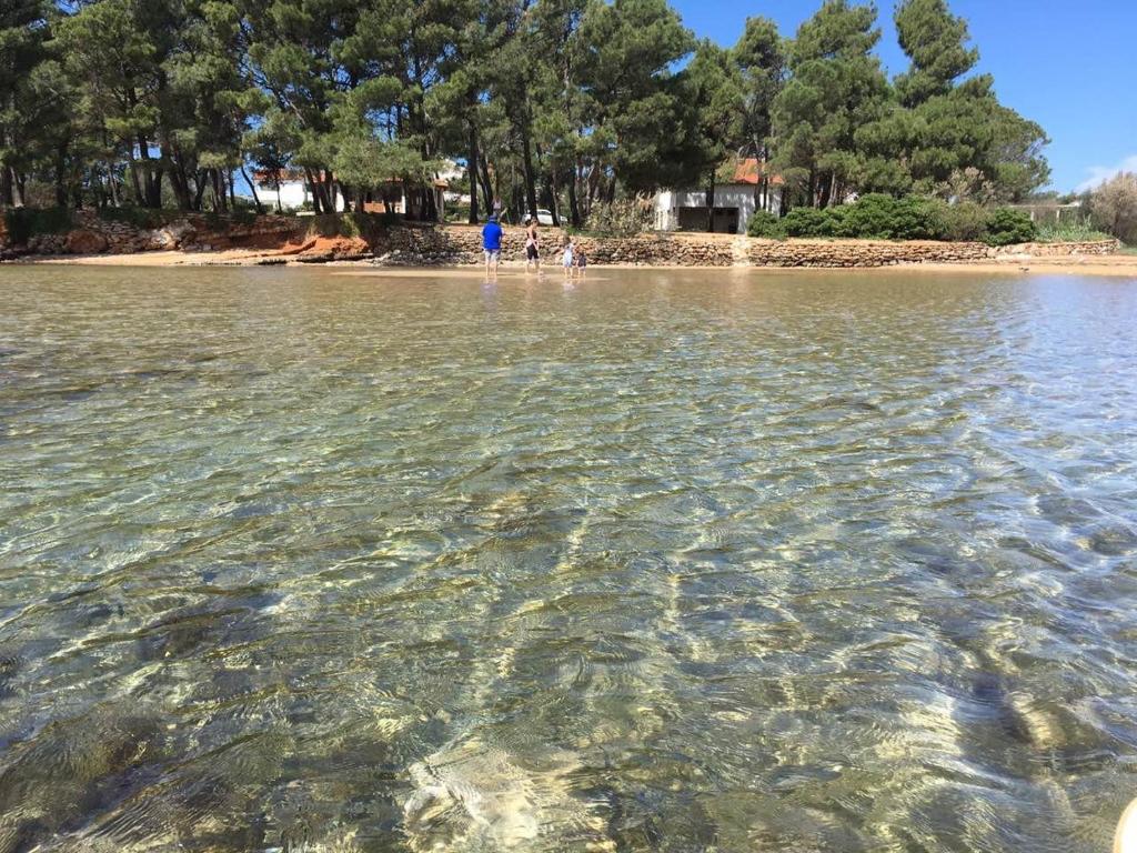 Suzi Apartmani room 5