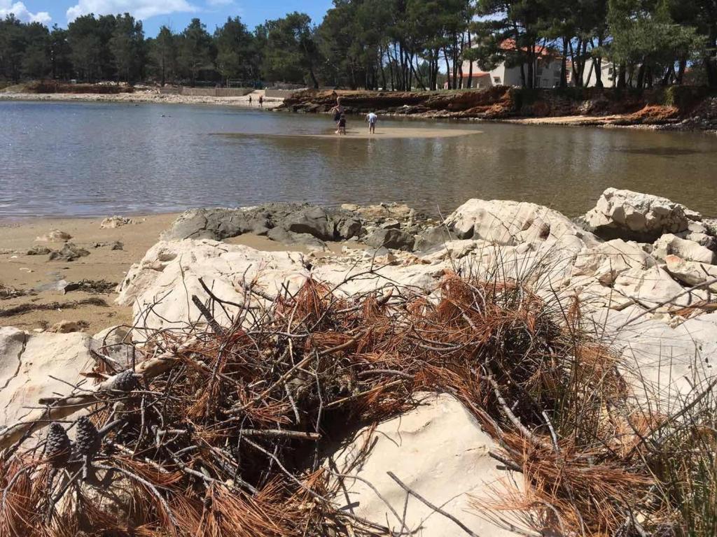 Suzi Apartmani room 6