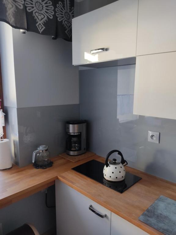 Apartament Jodłowy room 2