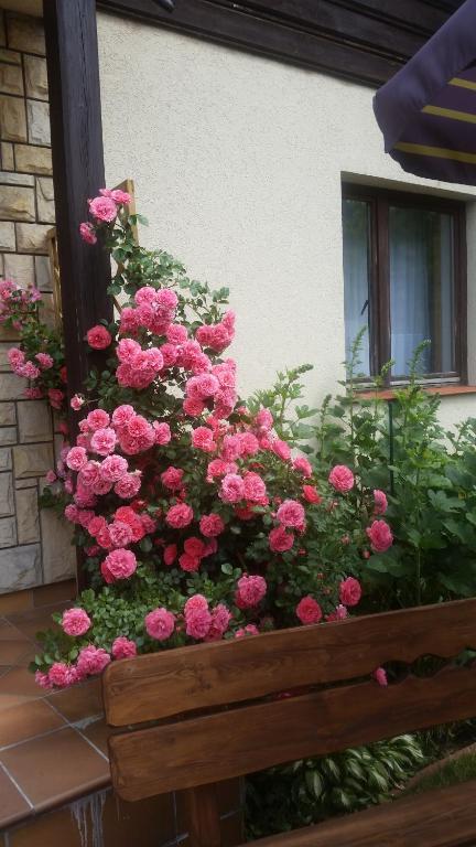 Apartament Jodłowy room 3